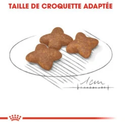 ROYAL CANIN Mini Adult 4kg 10 ROYAL CANIN Mini Adult 4kg -ROYAL CANIN Soldes Magasin fre pl ROYAL CANIN Mini Adult 4kg 16085 4