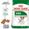 ROYAL CANIN Mini Adult 8kg