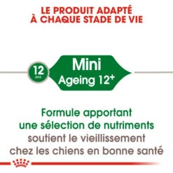 ROYAL CANIN Mini Ageing 12+ 800g 10 ROYAL CANIN Mini Ageing 12+ 800g -ROYAL CANIN Soldes Magasin fre pl ROYAL CANIN Mini Ageing 12 800g 9336 4