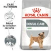 ROYAL CANIN Mini Dental Care 1kg -ROYAL CANIN Soldes Magasin fre pl ROYAL CANIN Mini Dental Care 1kg 10080 1