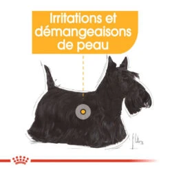 ROYAL CANIN Mini Dermacomfort 8kg -ROYAL CANIN Soldes Magasin fre pl ROYAL CANIN Mini Dermacomfort 8kg 10081 5