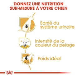 ROYAL CANIN Miniature Schnauzer Adult 3kg -ROYAL CANIN Soldes Magasin fre pl ROYAL CANIN Miniature Schnauzer Adult 3kg 9366 3