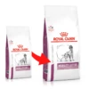ROYAL CANIN Mobility Support 12kg -ROYAL CANIN Soldes Magasin fre pl ROYAL CANIN Mobility Support 12kg 23594 2