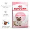 ROYAL CANIN Mother & Babycat 4kg 2 ROYAL CANIN Mother & Babycat 4kg -ROYAL CANIN Soldes Magasin fre pl ROYAL CANIN Mother Babycat 4kg 15950 1