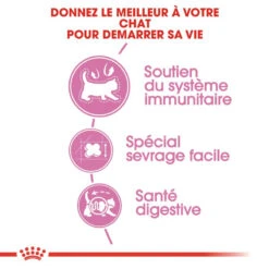 ROYAL CANIN Mother & Babycat 4kg 12 ROYAL CANIN Mother & Babycat 4kg -ROYAL CANIN Soldes Magasin fre pl ROYAL CANIN Mother Babycat 4kg 15950 10