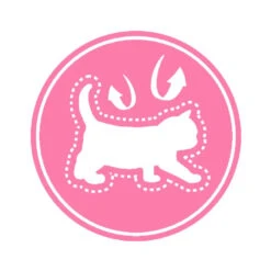 ROYAL CANIN Mother & Babycat 4kg 13 ROYAL CANIN Mother & Babycat 4kg -ROYAL CANIN Soldes Magasin fre pl ROYAL CANIN Mother Babycat 4kg 15950 5