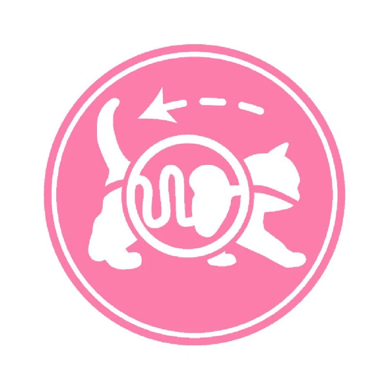 ROYAL CANIN Mother & Babycat 4kg 5 ROYAL CANIN Mother & Babycat 4kg – Image 3