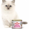 ROYAL CANIN Mother & Babycat Ultra Soft Mousse 195g X12 -ROYAL CANIN Soldes Magasin fre pl ROYAL CANIN Mother Babycat Ultra Soft Mousse 195g x12 29994 1