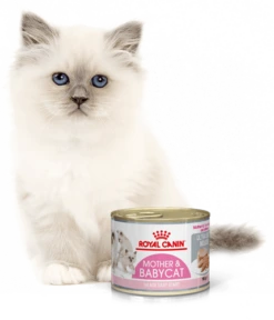 ROYAL CANIN Mother & Babycat Ultra Soft Mousse 195g X12