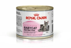 ROYAL CANIN Mother & Babycat Ultra Soft Mousse 195g X12 8 ROYAL CANIN Mother & Babycat Ultra Soft Mousse 195g X12 -ROYAL CANIN Soldes Magasin fre pl ROYAL CANIN Mother Babycat Ultra Soft Mousse 195g x12 29994 2