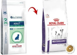 ROYAL CANIN Neutered Adult Small Dog 8kg -ROYAL CANIN Soldes Magasin fre pl ROYAL CANIN Neutered Adult Small Dog 8kg 9380 2