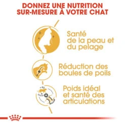 ROYAL CANIN Norwegian Forest Cat Adult 10kg 13 ROYAL CANIN Norwegian Forest Cat Adult 10kg -ROYAL CANIN Soldes Magasin fre pl ROYAL CANIN Norwegian Forest Cat Adult 10kg 16942 5