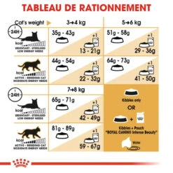 ROYAL CANIN Norwegian Forest Cat Adult 2kg -ROYAL CANIN Soldes Magasin fre pl ROYAL CANIN Norwegian Forest Cat Adult 2kg 16943 3