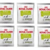 ROYAL CANIN Nutritional Supplement Educ 10x50g -ROYAL CANIN Soldes Magasin fre pl ROYAL CANIN Nutritional Supplement Educ 10x50g 29779 4