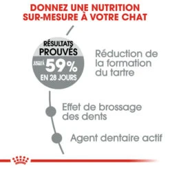 ROYAL CANIN Oral Care 8kg -ROYAL CANIN Soldes Magasin fre pl ROYAL CANIN Oral Care 8kg 15543 4