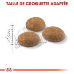 ROYAL CANIN Outdoor 2kg -ROYAL CANIN Soldes Magasin fre pl ROYAL CANIN Outdoor 2kg 16104 3