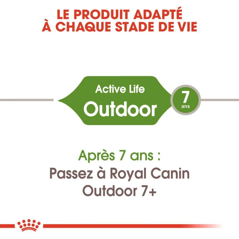 ROYAL CANIN Outdoor 4kg 4 ROYAL CANIN Outdoor 4kg – Image 2