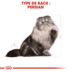 ROYAL CANIN Persian Adult 2kg -ROYAL CANIN Soldes Magasin fre pl ROYAL CANIN Persian Adult 2kg 16106 3