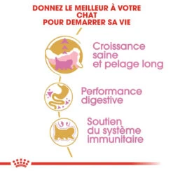 ROYAL CANIN Persian Kitten 10kg -ROYAL CANIN Soldes Magasin fre pl ROYAL CANIN Persian Kitten 10kg 9345 3