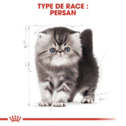 ROYAL CANIN Persian Kitten 10kg -ROYAL CANIN Soldes Magasin fre pl ROYAL CANIN Persian Kitten 10kg 9345 5