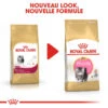 ROYAL CANIN Persian Kitten 10kg 1 ROYAL CANIN Persian Kitten 10kg -ROYAL CANIN Soldes Magasin fre pl ROYAL CANIN Persian Kitten 10kg 9345 6