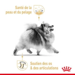ROYAL CANIN Pomeranian Adult 1,5kg -ROYAL CANIN Soldes Magasin fre pl ROYAL CANIN Pomeranian Adult 1 5kg 13393 3