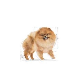 ROYAL CANIN Pomeranian Adult 500g -ROYAL CANIN Soldes Magasin fre pl ROYAL CANIN Pomeranian Adult 500g 23159 3
