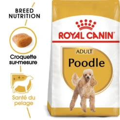 Meilleures ventes 22 ROYAL CANIN Poodle Adult 1,5kg
