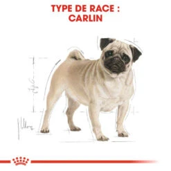 Meilleures ventes -ROYAL CANIN Soldes Magasin fre pl ROYAL CANIN Pug Adult 1 5kg 16110 3