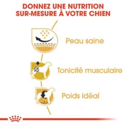 ROYAL CANIN Pug Adult 1,5kg -ROYAL CANIN Soldes Magasin fre pl ROYAL CANIN Pug Adult 1 5kg 16110 4