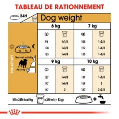 ROYAL CANIN Pug Adult 1,5kg -ROYAL CANIN Soldes Magasin fre pl ROYAL CANIN Pug Adult 1 5kg 16110 5