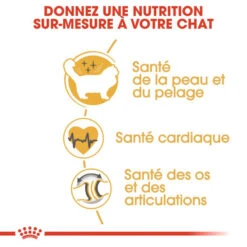 ROYAL CANIN Ragdoll Adult 10kg -ROYAL CANIN Soldes Magasin fre pl ROYAL CANIN Ragdoll Adult 10kg 16913 6