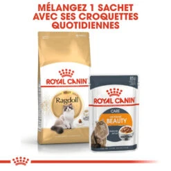 ROYAL CANIN Ragdoll Adult 2kg 12 ROYAL CANIN Ragdoll Adult 2kg -ROYAL CANIN Soldes Magasin fre pl ROYAL CANIN Ragdoll Adult 2kg 16912 4