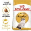 ROYAL CANIN Ragdoll Adult 400g -ROYAL CANIN Soldes Magasin fre pl ROYAL CANIN Ragdoll Adult 400g 15341 1