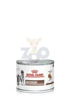 ROYAL CANIN Recovery 195g X 12 -ROYAL CANIN Soldes Magasin fre pl ROYAL CANIN Recovery 195g 9435 1