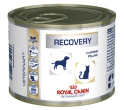 ROYAL CANIN Recovery 195g X 12 -ROYAL CANIN Soldes Magasin fre pl ROYAL CANIN Recovery 195g x 12 30037 2