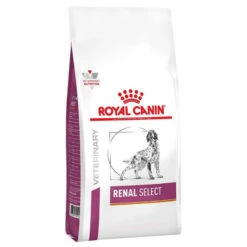 ROYAL CANIN Renal Select 2kg 6 ROYAL CANIN Renal Select 2kg -ROYAL CANIN Soldes Magasin fre pl ROYAL CANIN Renal Select 2kg 15534 1