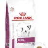 ROYAL CANIN Renal Small Dog 3,5kg + Surprise Pour Votre Chien GRATUITES ! 1 ROYAL CANIN Renal Small Dog 3,5kg + Surprise Pour Votre Chien GRATUITES ! -ROYAL CANIN Soldes Magasin fre pl ROYAL CANIN Renal Small Dog 3 5kg surprise pour votre chien GRATUITES 25235 1