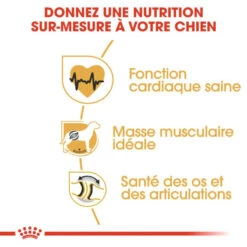 ROYAL CANIN Rottweiler Adult 12kg -ROYAL CANIN Soldes Magasin fre pl ROYAL CANIN Rottweiler Adult 12kg 9456 4