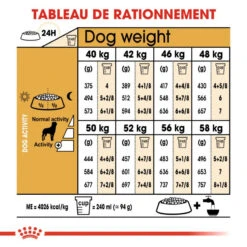 ROYAL CANIN Rottweiler Adult 12kg -ROYAL CANIN Soldes Magasin fre pl ROYAL CANIN Rottweiler Adult 12kg 9456 6