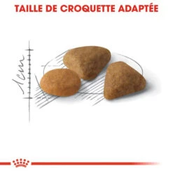 ROYAL CANIN Savour Exigent 10kg -ROYAL CANIN Soldes Magasin fre pl ROYAL CANIN Savour Exigent 10kg 15988 4