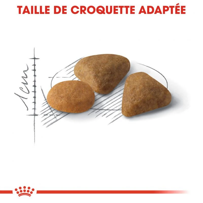 ROYAL CANIN Savour Exigent 4kg X2 7 ROYAL CANIN Savour Exigent 4kg X2 – Image 5