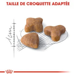 ROYAL CANIN Sensible 33 4kg X2 -ROYAL CANIN Soldes Magasin fre pl ROYAL CANIN Sensible 33 4kg x2 30775 4