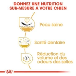 ROYAL CANIN Shih Tzu Adult 1,5kg -ROYAL CANIN Soldes Magasin fre pl ROYAL CANIN Shih Tzu Adult 1 5kg 9494 4