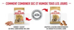 ROYAL CANIN Shih Tzu Adult 12x85g -ROYAL CANIN Soldes Magasin fre pl ROYAL CANIN Shih Tzu Adult 12x85g 12522 5