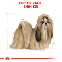ROYAL CANIN Shih Tzu Adult 500g X2 11 ROYAL CANIN Shih Tzu Adult 500g X2 -ROYAL CANIN Soldes Magasin fre pl ROYAL CANIN Shih Tzu Adult 500g x2 30715 4