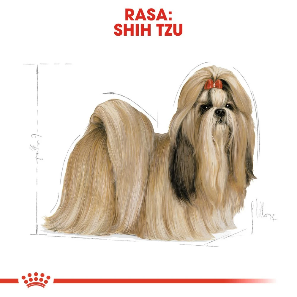 ROYAL CANIN Shih Tzu Adult 7,5kg + Surprise Pour Votre Chien GRATUITES ! 8 ROYAL CANIN Shih Tzu Adult 7,5kg + Surprise Pour Votre Chien GRATUITES ! – Image 6