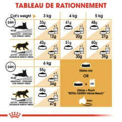 ROYAL CANIN Siamese Adult 2kg X2 12 ROYAL CANIN Siamese Adult 2kg X2 -ROYAL CANIN Soldes Magasin fre pl ROYAL CANIN Siamese Adult 2kg x2 30776 4