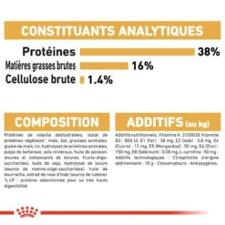 ROYAL CANIN Siamese Adult 2kg X2 13 ROYAL CANIN Siamese Adult 2kg X2 -ROYAL CANIN Soldes Magasin fre pl ROYAL CANIN Siamese Adult 2kg x2 30776 5