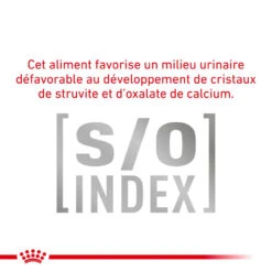 ROYAL CANIN Skin Hairball Gastrointestinal 2kg -ROYAL CANIN Soldes Magasin fre pl ROYAL CANIN Skin Hairball Gastrointestinal 2kg 12438 3